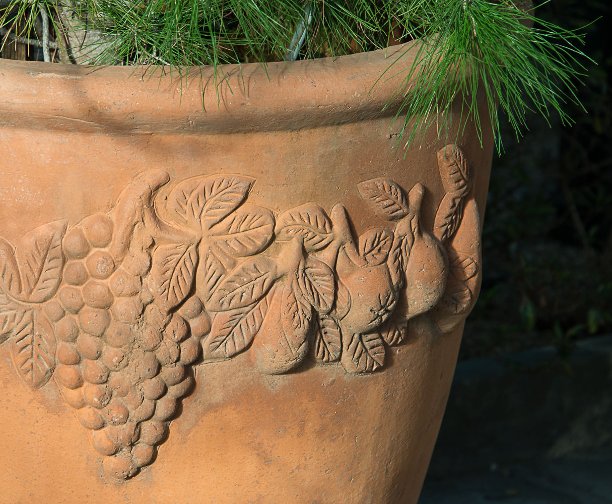 Terra Cotta pot
